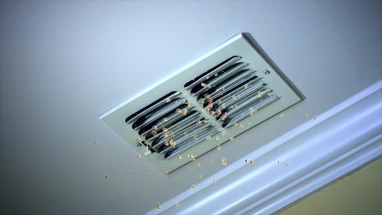 Best Home Air Vent Cleaning  in Muldraugh, KY