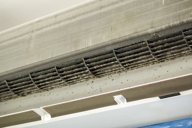 Best Dryer Vent Cleaning Services  in Muldraugh, KY